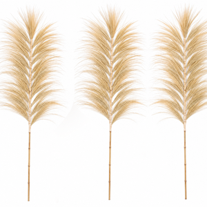 Hierba de Pampas Seca Natural, Planta Decorativa Esponjosa para Rellenar Jarrones, Estilo Rústico Bohemio - Product Image 3