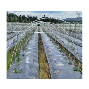 Haoli, venta al por mayor, varilla de fibra de vidrio no conductora de alta calidad para palo de escoba/techo de invernadero/banderas de marcado/tienda - Product Image 5