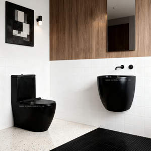 Ensemble de toilettes contemporaines avec cuvette à chasse d'eau et lavabo mural en céramique, chasse d'eau par gravité, toilettes monobloc rondes - Product Image 2