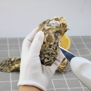 <span class=keywords><strong>Couteau</strong></span> ouvreur d'huîtres <span class=keywords><strong>électrique</strong></span>s portables Shucker en acier inoxydable - Product Image 4