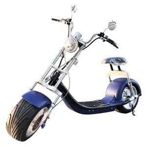 Europeo Magazzino 2000 w 60 v 20AH. scooter elettrico golf trolley pro adulto fat tire 3 ruote motociclo elettrico