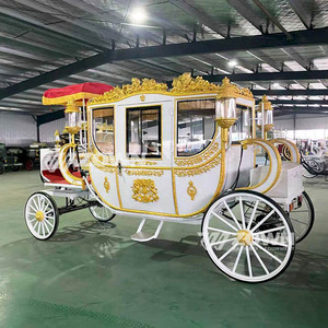 Charrette royale électrique moderne à économie d'énergie, magnifique véhicule de tourisme pour les mariages, les séances photo et les parcs à thème - Product Image 6