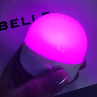 Ampoule LED intelligente rechargeable portable avec télécommande, 10 heures d'autonomie, lumière d'urgence pour le camping