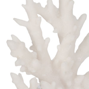 Fermalibri Decorativi in Vetro Corallo, Ispirazione Costiera, Arredo Moderno per Scrivania - Product Image 4