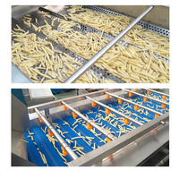 Commerciële Volautomatische Bevroren Fruitchips Aardappelmachine Snijden Frietsnijder Bevroren Frietjes Productielijn