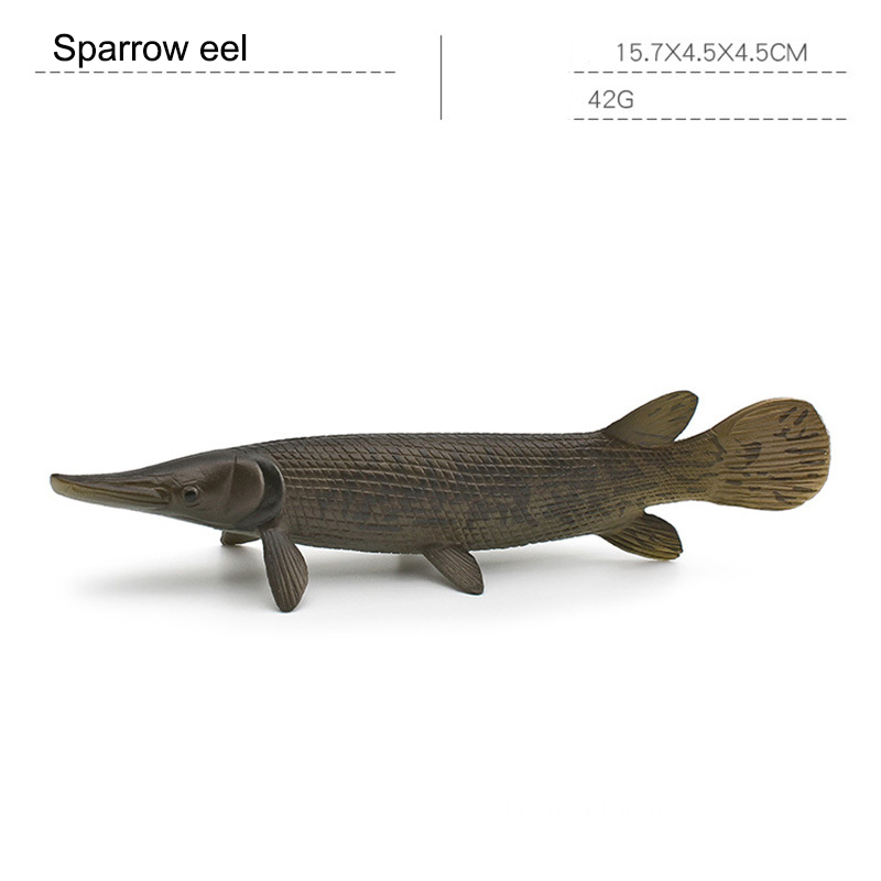 Sparrow eel