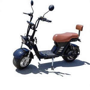 Venta al por Mayor en la UE, Nuevo Vehículo Eléctrico de Largo Alcance para Adultos, 1500W, 60V, 20Ah, Batería de Litio, Marco de Acero, 80km/h - Product Image 5