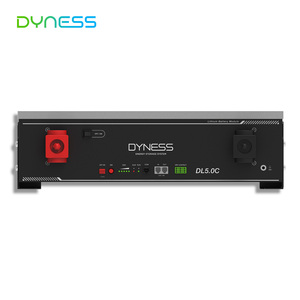 Batería de Pared Dyness DL5.0C 51.2V 100Ah 5.12kWh con BMS Inteligente, 6000 Ciclos, Montaje en Pared para Almacenamiento Solar Doméstico, Instalación Flexible DL5.0C - Product Image 5