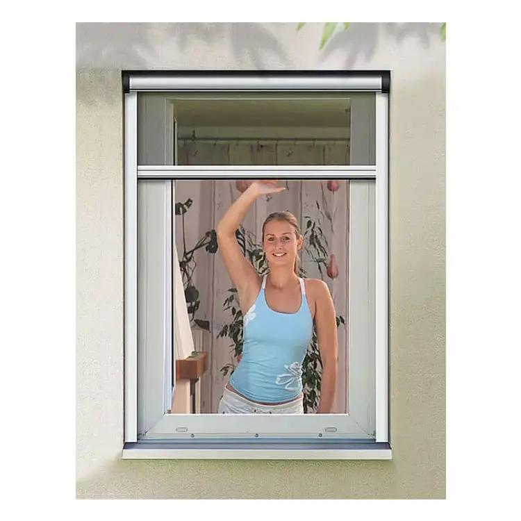 Custom Modern Roller Aluminum Frame Anti Mosquito Dust Insect Net Fiber Glass House Design up Down Sliding Fly Screen Window