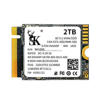 Vente directe d'usine, mini console de jeu compatible PS4/5, ordinateur portable 2230 256 Go/512 Go/1 To/2 To NVMe PCIe 3.0 3*4 SSD