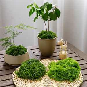 Plante artificielle en mousse filamentuse et moelleuse pour décoration de pot, aspect réaliste et naturel pour la maison, les mariages et les accessoires extérieurs - Product Image 2