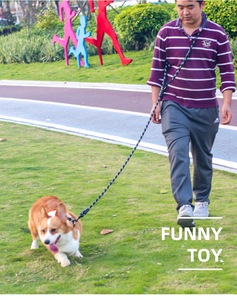 Laisse de course mains libres pour animaux de compagnie, double laisse en nylon pour 2 chiens, chaîne de promenade pour animaux, fournitures pour animaux de compagnie en gros - Product Image 6