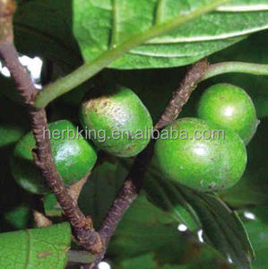 Extrait de Pygeum Africanum 2,5% Phytostérol Extrait d'écorce de Pygeum Pygeum Topengii Merr. CAS 83-46-5 - Product Image 2