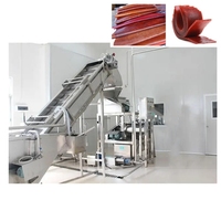 Kleinschalige Gedehydrateerde Appelsnackbar Productiefabriek Fruitleermachine
