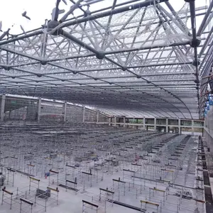 Long Span Steel Storage Shed Space Frame Roofing