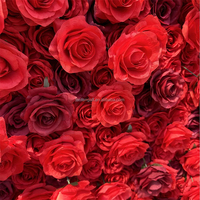 Panneau mural de fleurs artificielles en tissu 5D, 8 pieds x 8 pieds, motif rose rouge, pour événements
