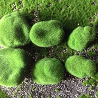 NINI Terarium Taman Peri Luar Ruangan Tenaga Surya Buatan Tangan Mewah dengan Kain, Lumut Buatan, Batu, dan Rangkaian Bunga Dekoratif