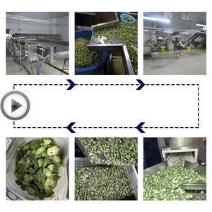 أكيرا مجمدة IQF بسعر المصنع - Product Image 6