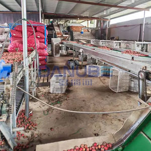 Ligne de production professionnelle pour le nettoyage, la découpe et le séchage des aubépines avec bande transporteuse en maille, machine de déshydratation des aubépines - Product Image 1