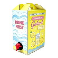 Sac en boîte personnalisé de 3L, 5L, 10L pour boissons, bière, vin, emballage de boîte, stockage d'eau, sac sans BPA, distributeur de café