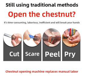 Meilleur prix, vente de machines à ouvrir <span class=keywords><strong>les</strong></span> coquilles de <span class=keywords><strong>châtaignes</strong></span> de haute qualité pour la maison, petite machine à peler <span class=keywords><strong>les</strong></span> <span class=keywords><strong>châtaignes</strong></span> chinoises - Product Image 5
