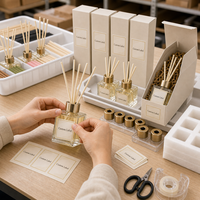 Ensemble diffuseur de parfum en verre personnalisé avec bâtonnets d'huiles essentielles sans plomb, capacité de 50 ml, pour la fragrance d'intérieur