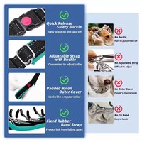 Collier d'entraînement pour chien en nylon robuste, respirant et confortable, à libération rapide, réglable, anti-traction, réfléchissant et personnalisable – Meilleures ventes