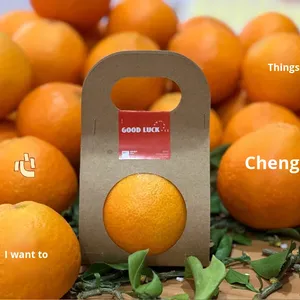 Boîte créative en papier kraft avec poignée pour emballage de pomme <span class=keywords><strong>orange</strong></span> - Product Image 4