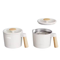 Conception pliante portable Bouilloire électrique Contrôle de la température Garder au chaud Caractéristique Ménage Hôtel Voyage Utilisation