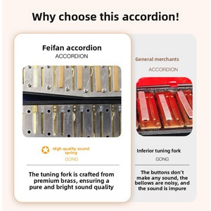Acordeón Diatónico de 7 Teclas y 2 Bajos, Modelo Negro, Instrumento para Principiantes, Regalo de Cumpleaños, Armónica Portátil, Venta al Por Mayor de Fábrica - Product Image 4