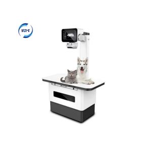 Rayos X veterinarios al mejor precio, detector de perros, máquina de rayos X para mascotas con dinámica de radiografía digital de animales - Product Image 2