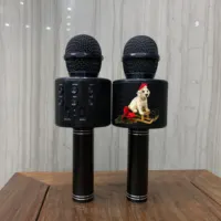 Kerst Kinderen Geschenken Professionele Draadloze Led Verlichting Oplaadbare Handheld Usb Karaoke Microfoon Voor Home Party