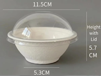 Wegwerp stevige ecologische biologisch afbreekbare dipschaal 220ml mini fruitpot van duurzaam plantmateriaal voor kamperen en serveren