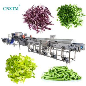 Ligne d'équipement automatique de découpe, <span class=keywords><strong>lavage</strong></span> et séchage de fruits et légumes, machines de transformation de fruits et légumes, capacité de 500 kg/h - Product Image 6