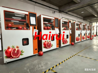 Máquina Expendedora de Jugo de Granada Recién Exprimido