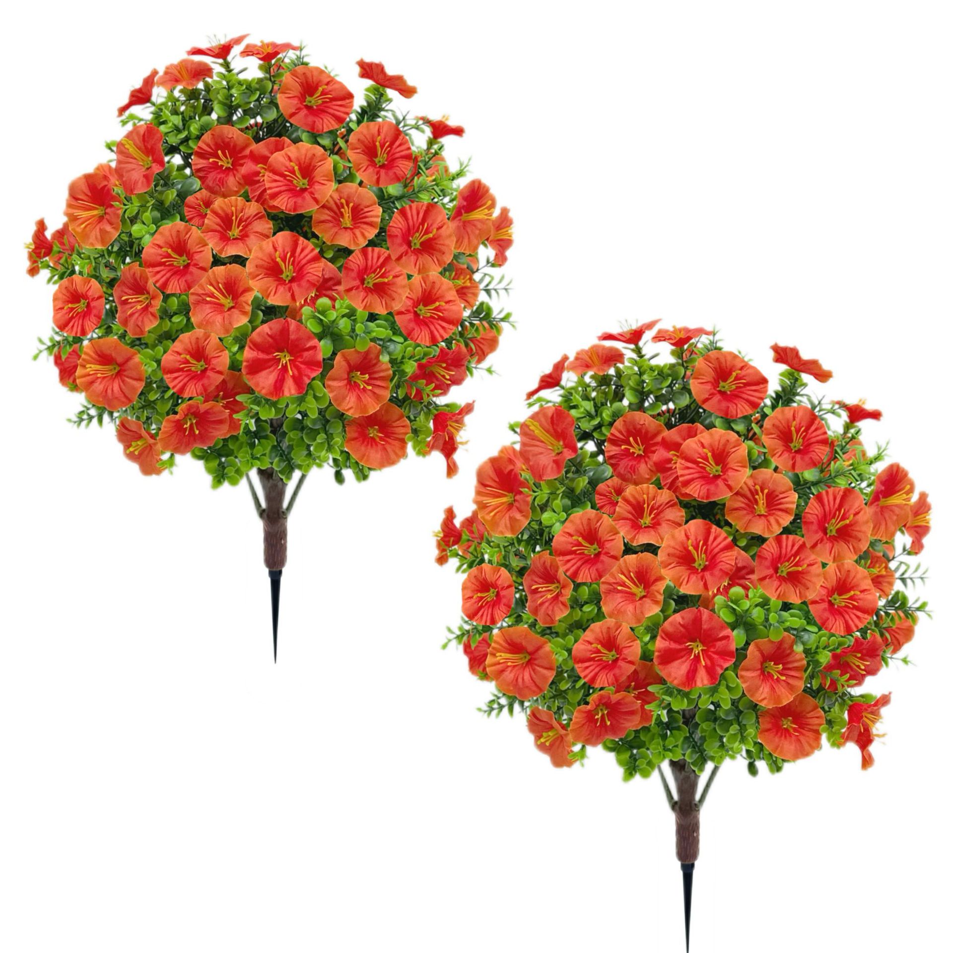 Petunia-red