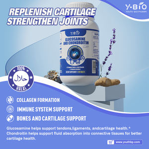 Takip Edilebilir Glukozamin Kondroitin MSM Tabletleri |   Premium Sınıf Eklem Sağlığı Bakımı - Product Image 2