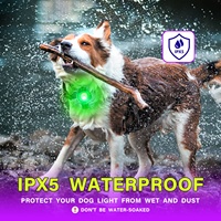 UMIONE BSCI Factory Audit Nouveau Design Accessoires pour chiens Lumière rechargeable pour animaux de compagnie Pendentif LED lumineux rond pour la sécurité des chiens en extérieur