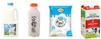 Usine de transformation du lait pasteurisé en Turquie, machines de production de lait UHT