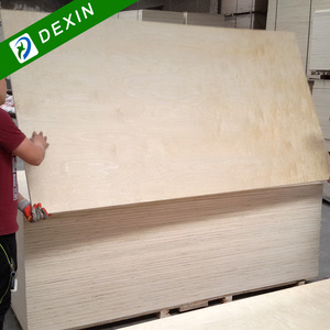 <span class=keywords><strong>Vendita</strong></span> Calda di Legno Compensato Laminato 3mm 6mm 9mm 18mm 4x8 in Tiglio/Betulla per Mobili - Product Image 2