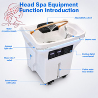 Bassin de lavage portable avec réservoir d'eau et système de circulation, évier amovible pour le lavage des cheveux, idéal pour les équipements de spa capillaire et de salon.