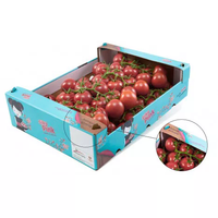 Precio de fábrica personalizado reciclado corrugado fuerte doble pared fruta Durian tomate vegetal embalaje caja de envío caja de cartón