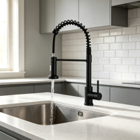 Keran Dapur Modern Hitam Stainless Steel Tarik Turun, Tuas Tunggal, Pemasangan di Dek, Air Panas Dingin, Mixer Wastafel dengan Keramik Premium