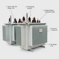 Tinda S11 11kV 3 Faz Yağlı Tip Dağıtım Trafosu 50kVA - 2500kVA Bakır Sargılı CRGO Çekirdekli IEC 60076 Güç Şebekesi için