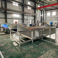 Automatische fruit- en groentebellenrolreinigingsmachine Verpakking Voedseloppervlaktereinigingsmachine 304 roestvrij staal