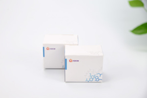 Endonuclease IV <span class=keywords><strong>NFO</strong></span> - Product Image 4