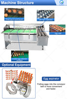 Taille des œufs de poulet, trieur de poids, trieuse automatique à petite échelle trieuse Machine de qualité des œufs par poids