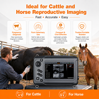 Échographe vétérinaire portable pour le diagnostic de la gestation des bovins et des chevaux avec écran tactile et sonde rectale