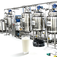 Ligne de production complète de yaourt au lait en acier inoxydable 304, norme CE, cuve de fermentation avec nettoyage CIP