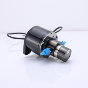 Repuestos Compatibles para Bomba de Motor de Acero Inoxidable, Doble Circuito 253 DRIVE STD, Rotor Corto, Serie A&A+, GQB065ESLB01 - Product Image 4